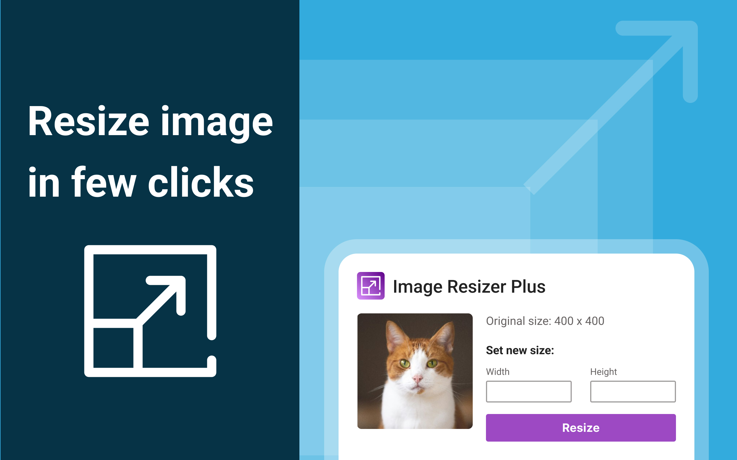 Image Resizer - Resize images online